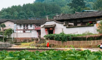 夯基鑄魂 建強堡壘丨梅溪鎮(zhèn)：深化堡壘建設(shè)，凝聚發(fā)展力量