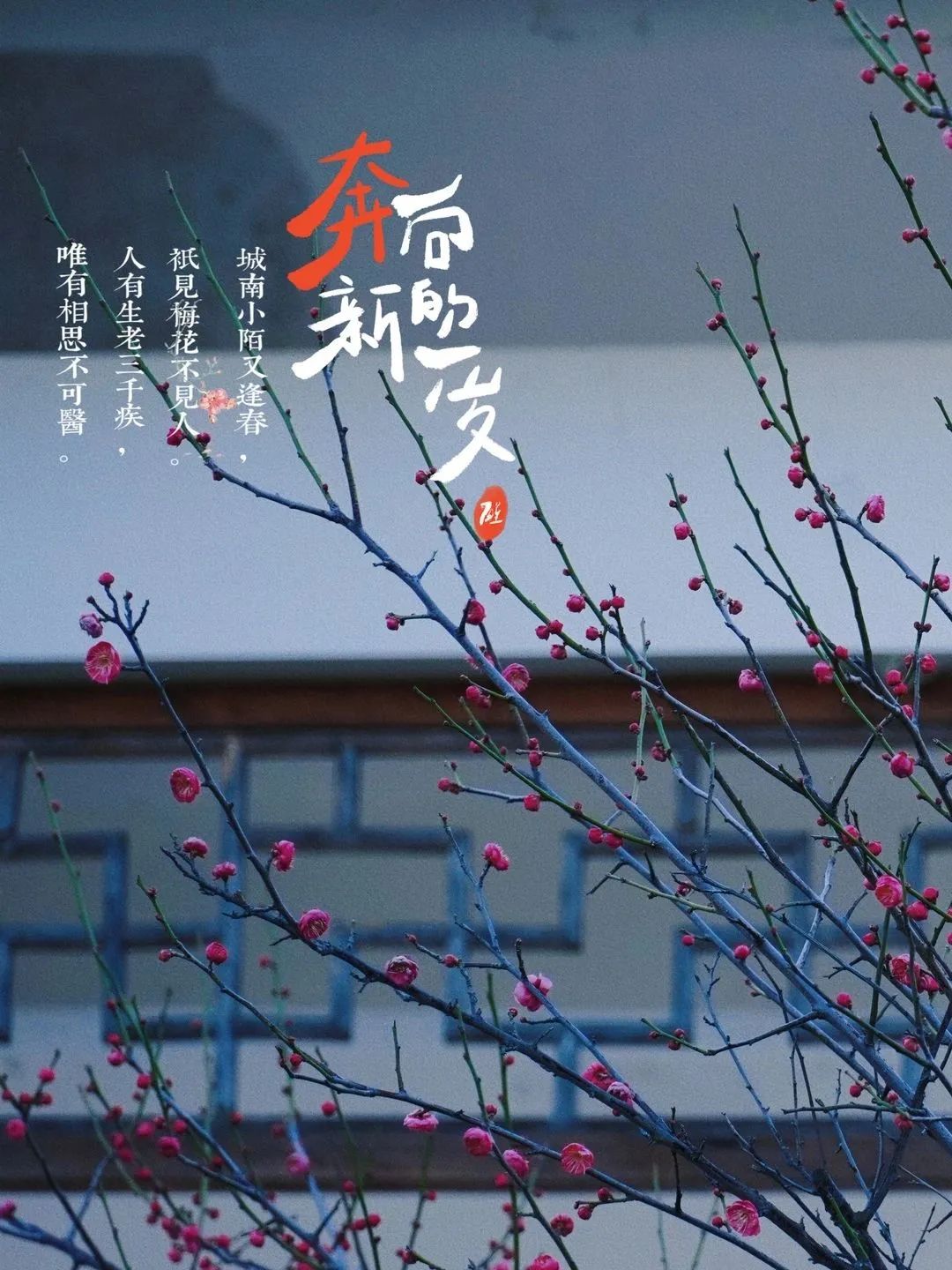 閩之福地 清韻山水 | 去有梅花開的地方