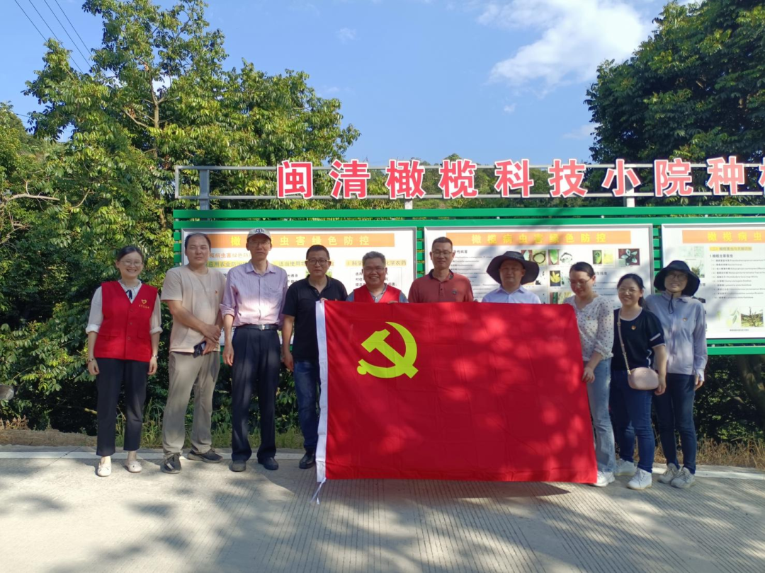 為綠色鄉(xiāng)村振興貢獻(xiàn)青春力量！福建閩清橄欖科技小院這樣做——